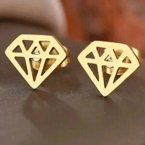 Diamond Hot Stainless Steel Earring